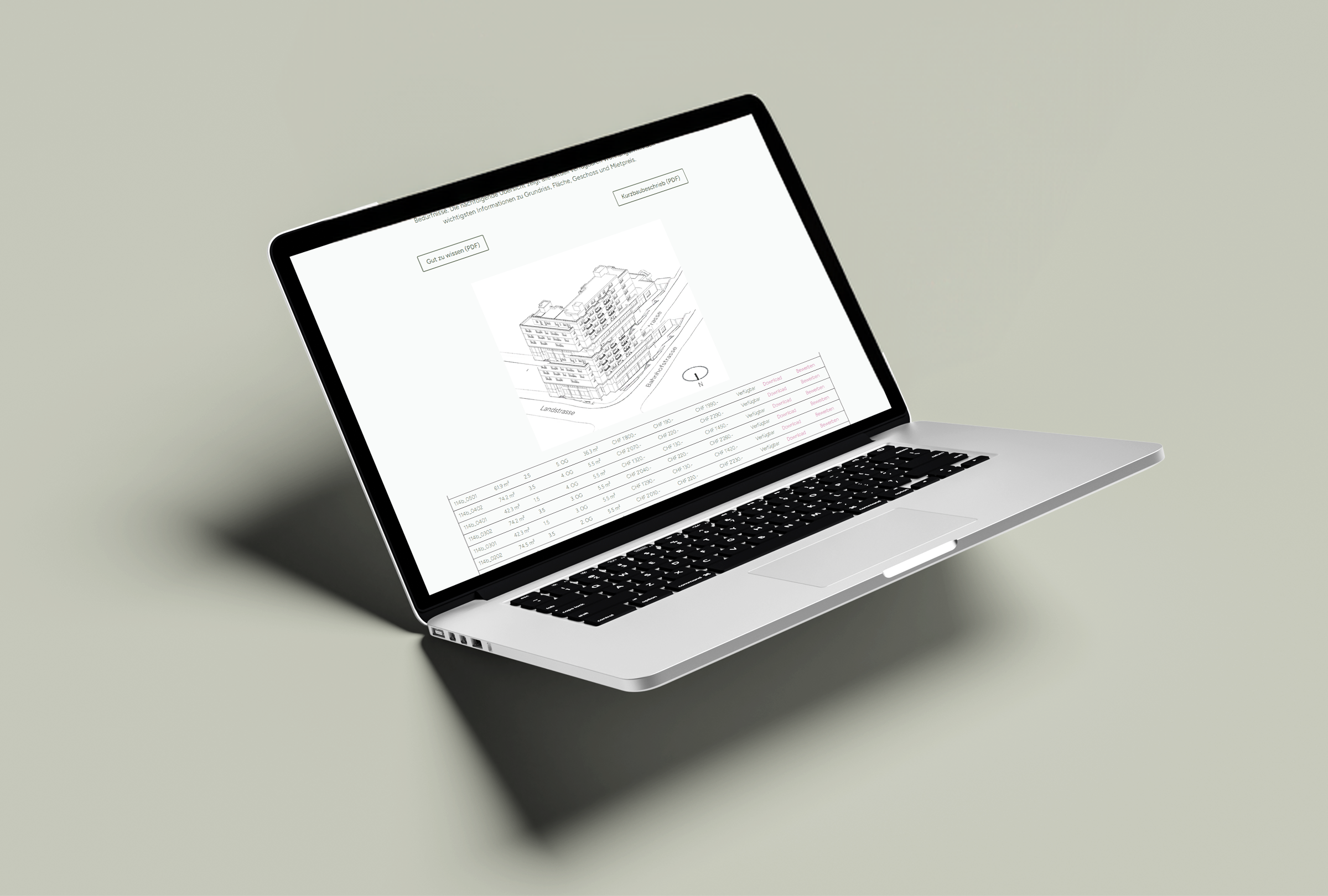 Oliva_Website_2-g